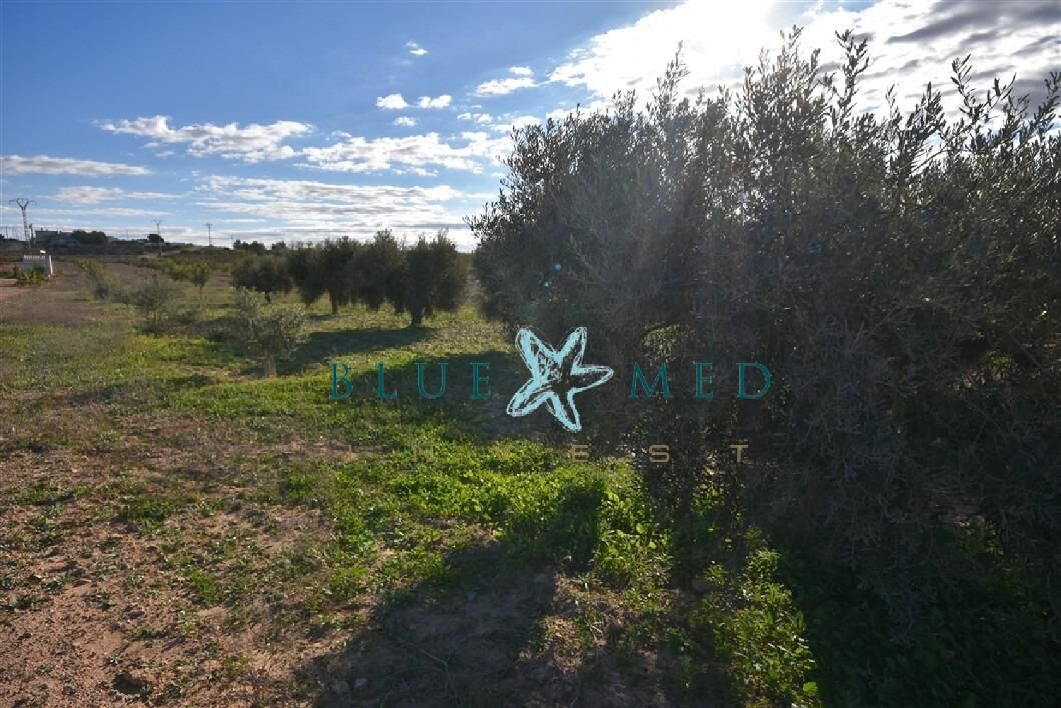  te koop huis Zarzadilla De Totana Alto Guadalentín 6