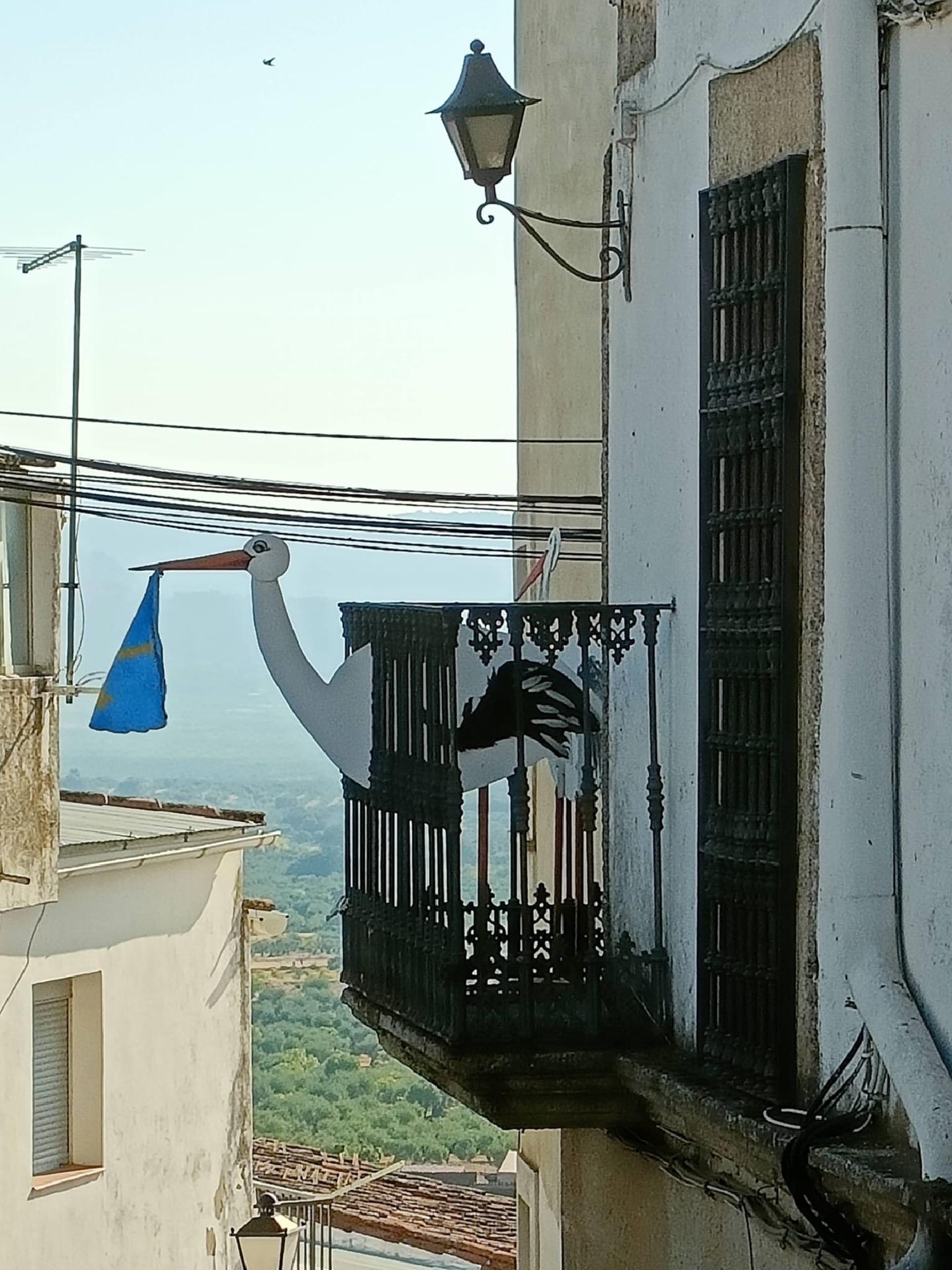  till salu herrgard Alcuéscar Montánchez 5