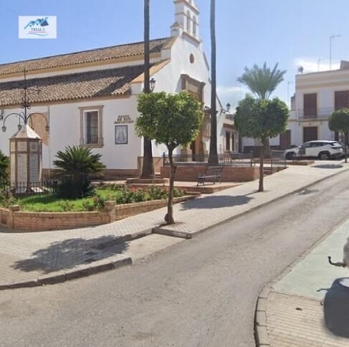 Mairena Del Alcor Campiña De Carmona oficina foto 6340339