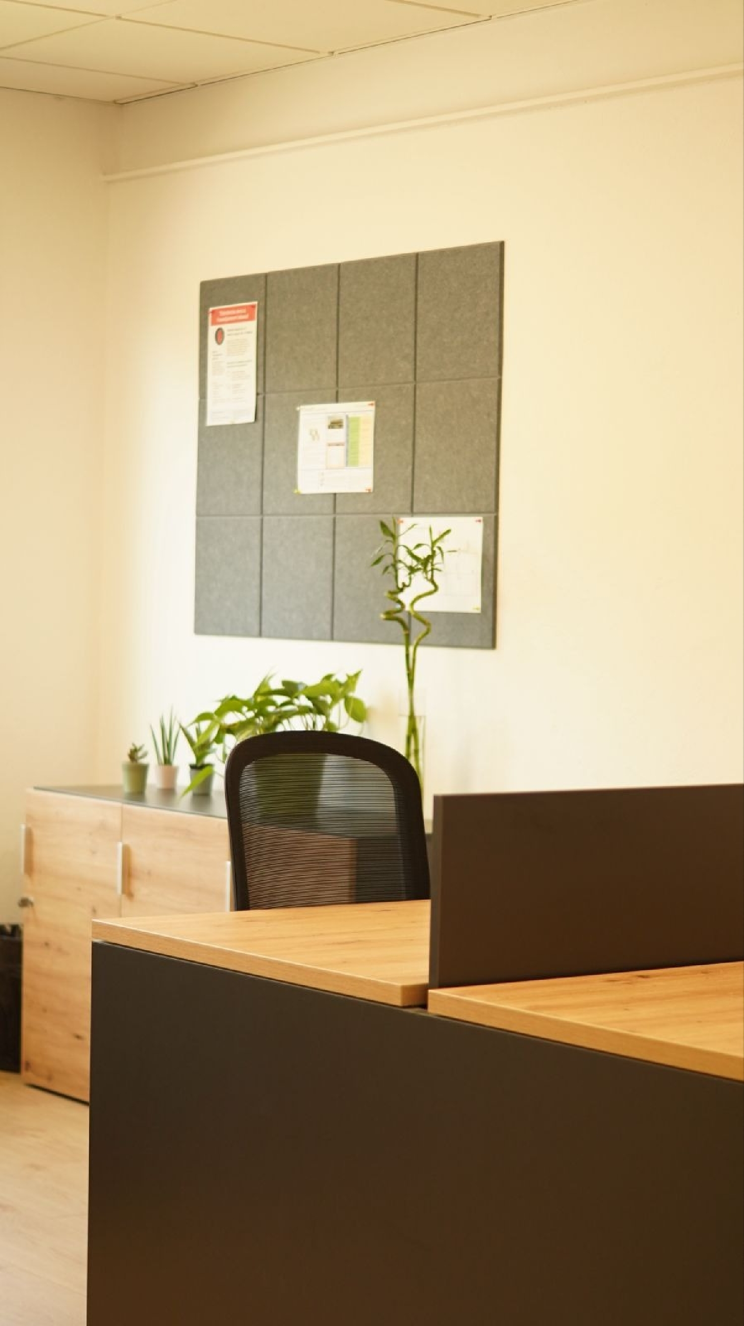 for sale office Sant Salvador De Guardiola Bages 8