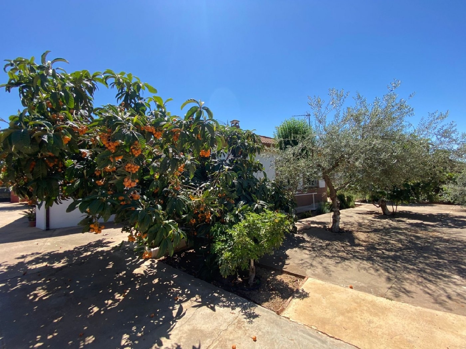  for sale country house Villafranca De Córdoba Alto Guadalquivir 7