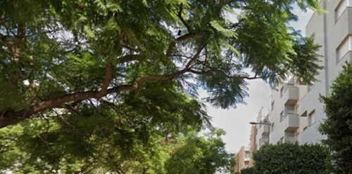 El Ejido Poniente Almeriense parking foto 6328018