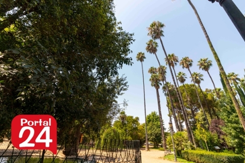 Badajoz Casco Antiguo-Centro Badajoz ático foto 6330903