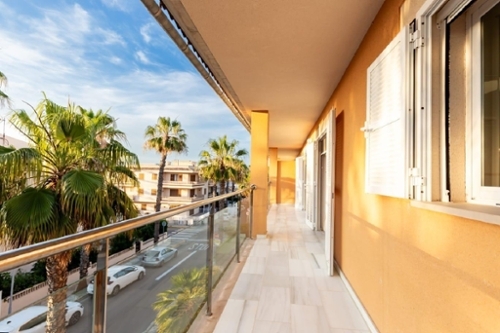 Alicante Centro 03001 Alacantí commercial premise foto 6326199