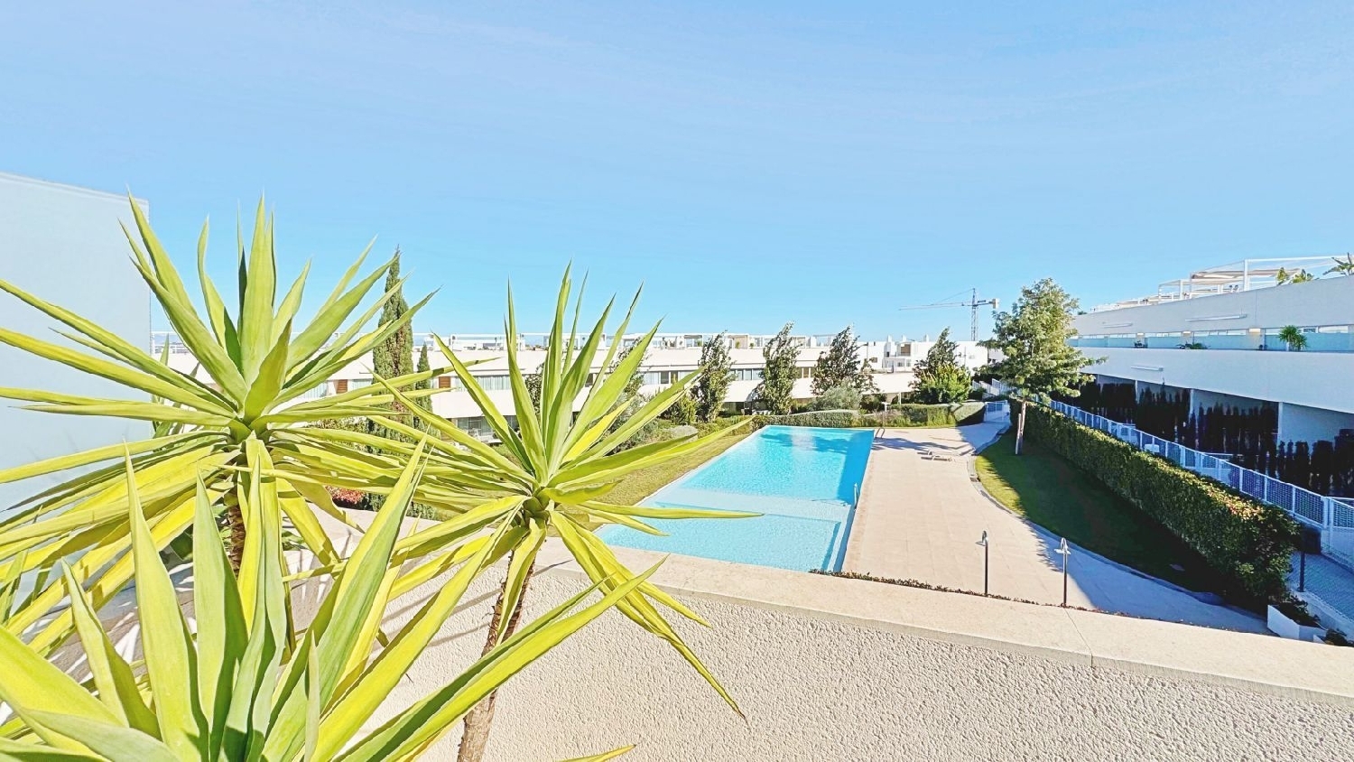  à vendre penthouse Torrevieja Baix Segura 3