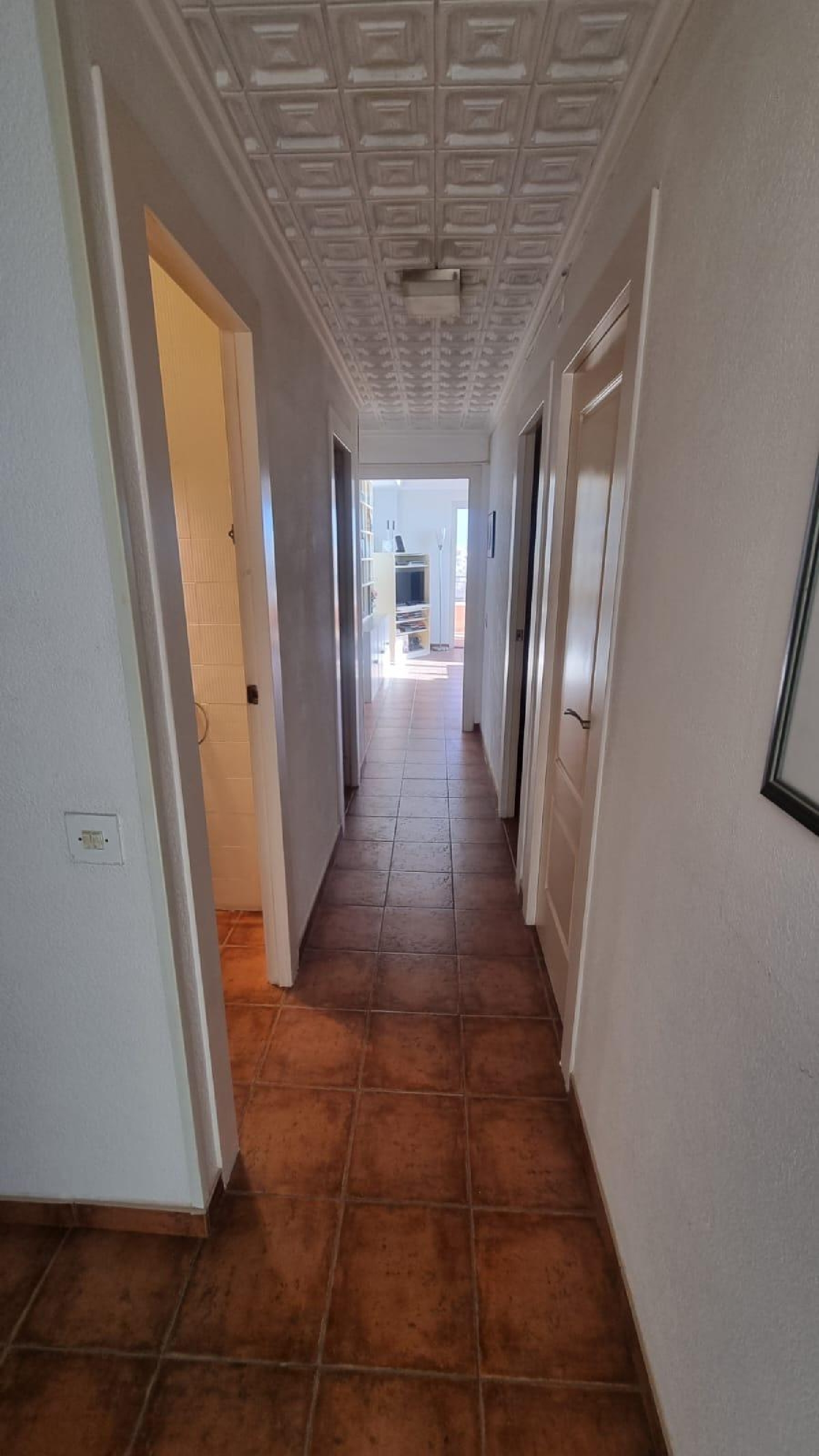  en venta ático Torrevieja Baix Segura 3