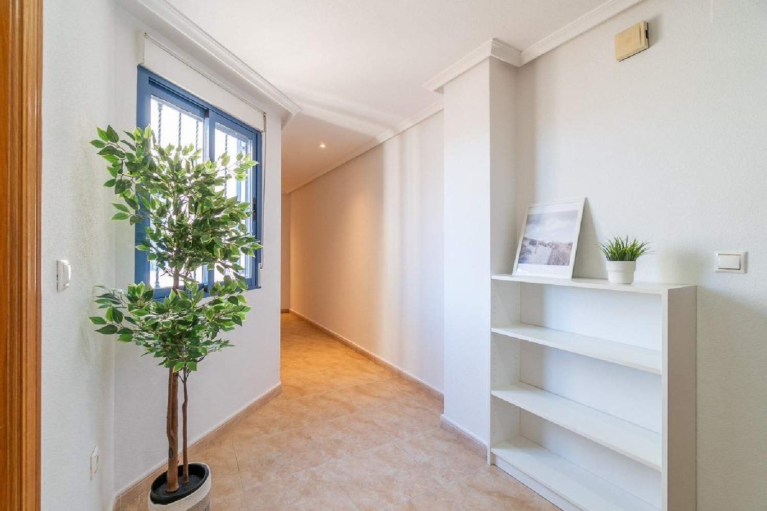  kaufen Penthouse Torrevieja Baix Segura 31