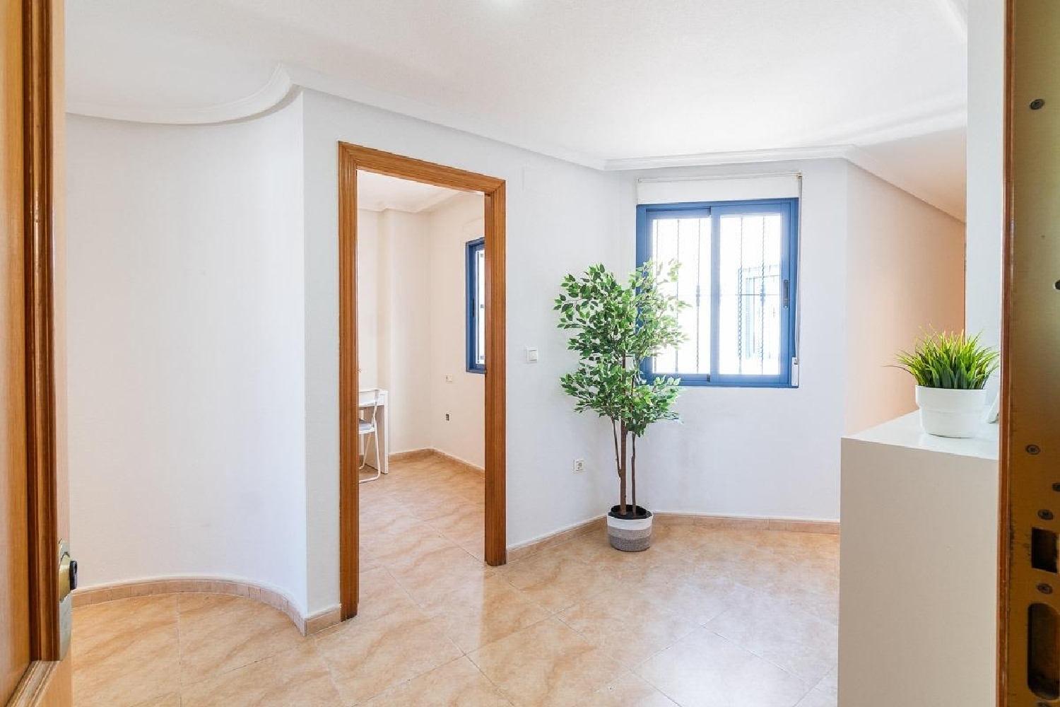  kaufen Penthouse Torrevieja Baix Segura 27