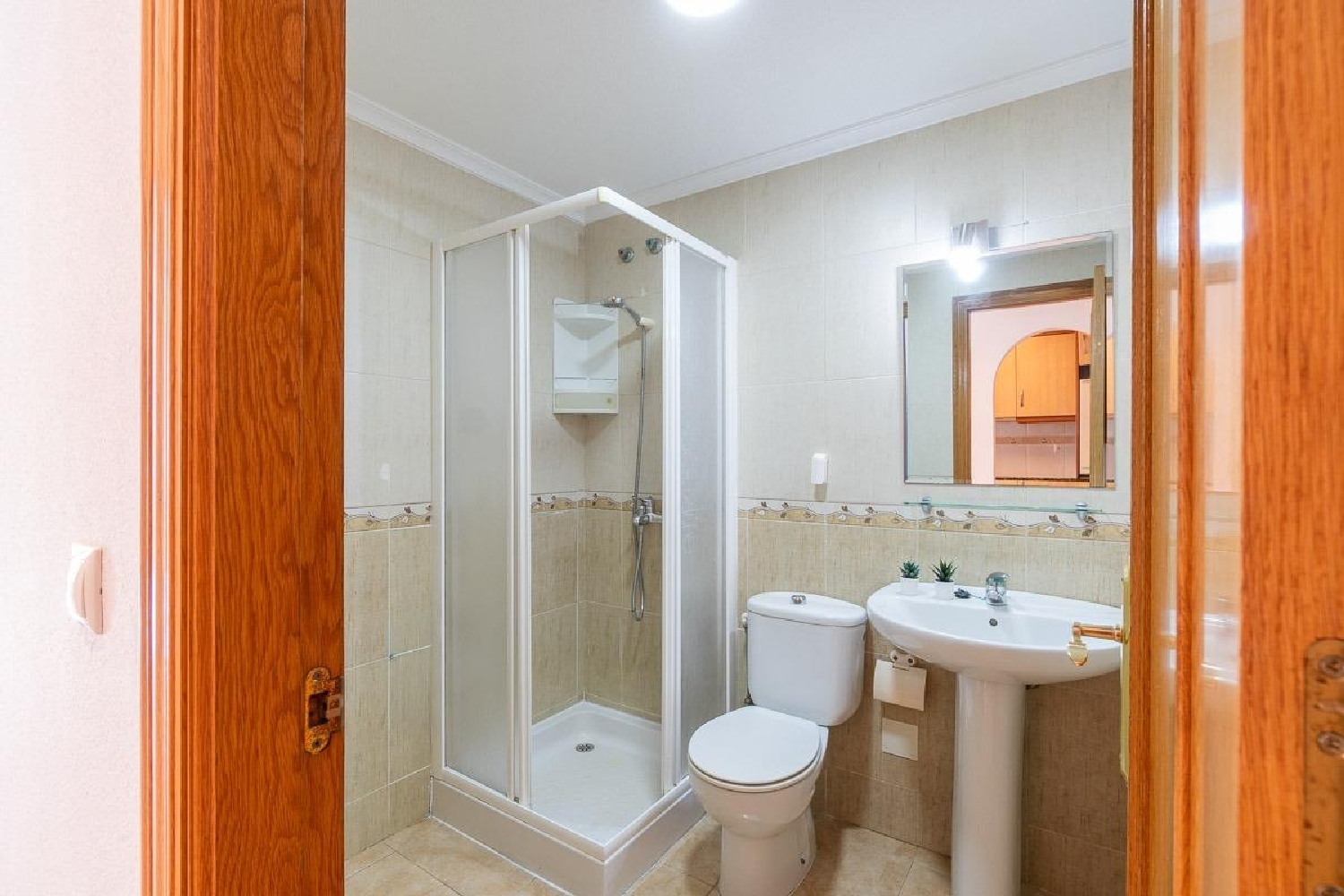  kaufen Penthouse Torrevieja Baix Segura 24