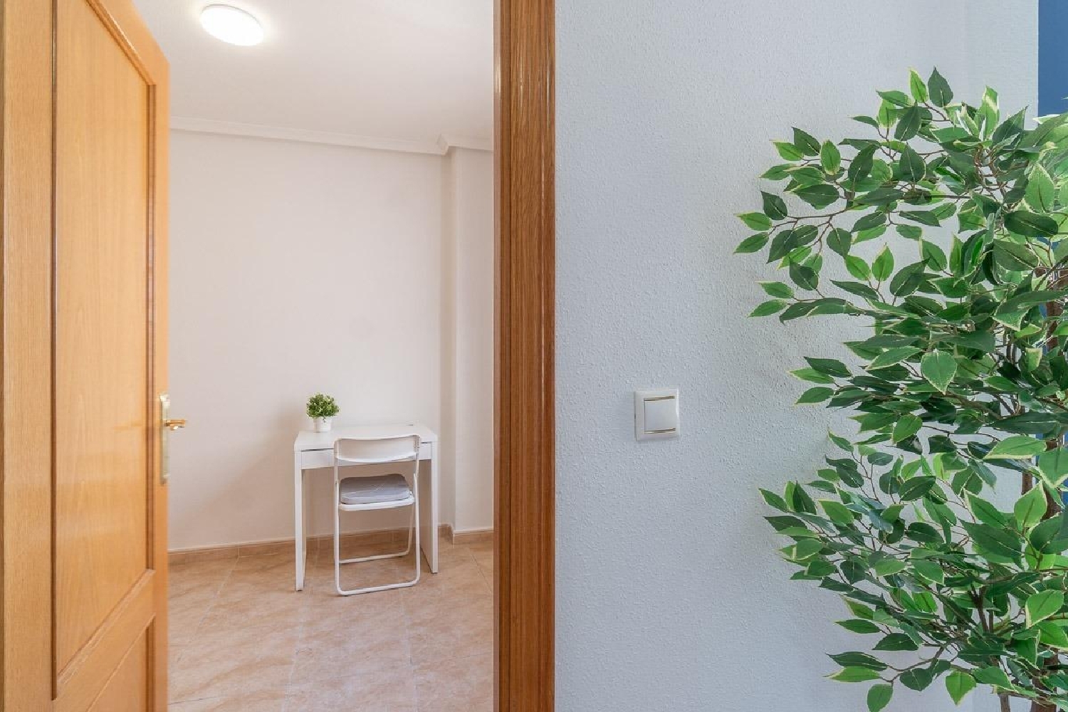  kaufen Penthouse Torrevieja Baix Segura 30