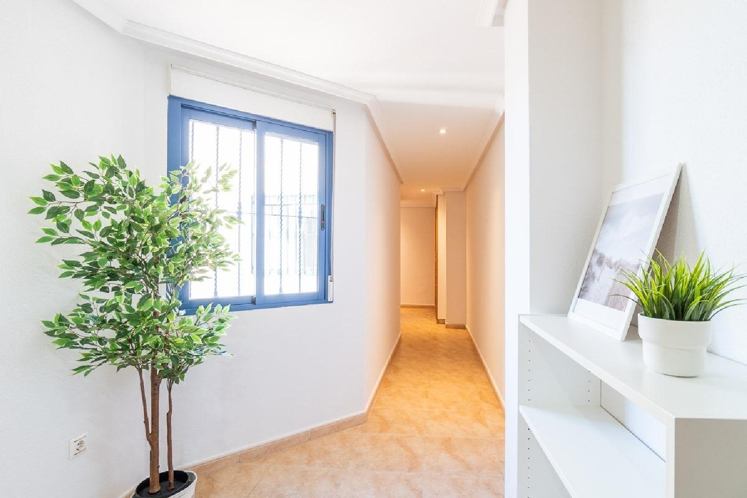  kaufen Penthouse Torrevieja Baix Segura 28