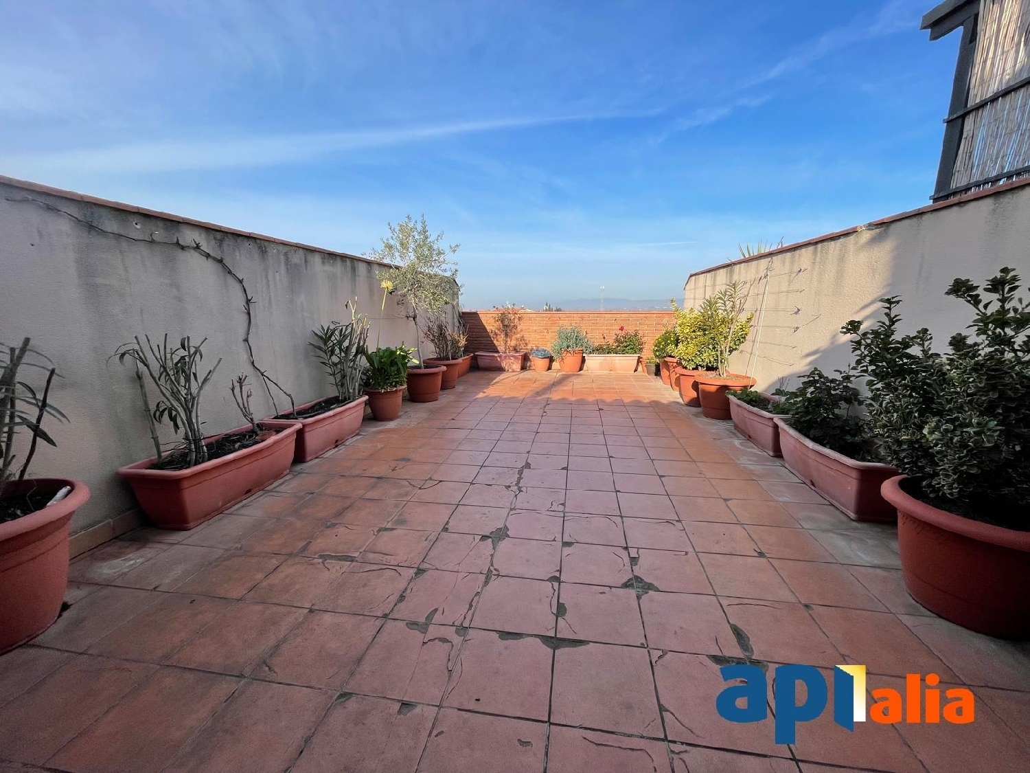  te koop penthouse Vila-Sana Pla D'urgell 1