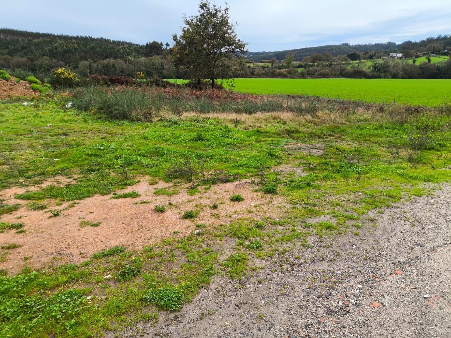  en venta terreno A Laracha Bergantiños 5