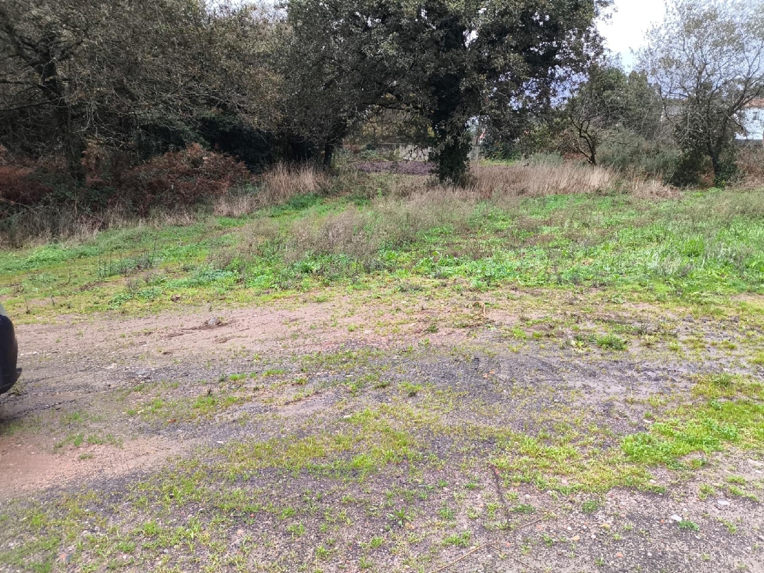  en venta terreno A Laracha Bergantiños 4