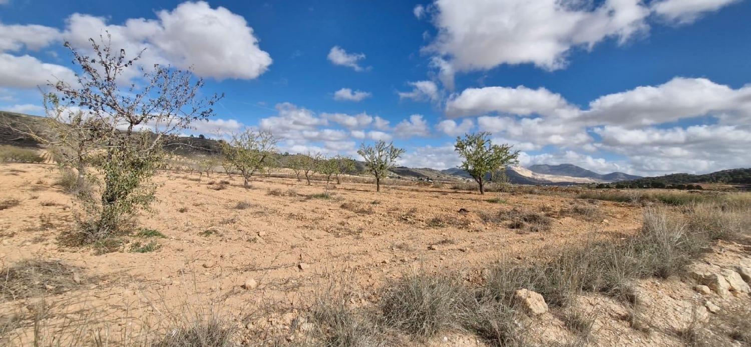  till salu tomt Abanillas Costa Occidental 7