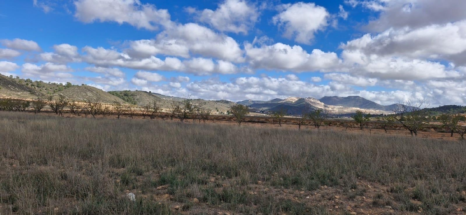  till salu tomt Abanillas Costa Occidental 2