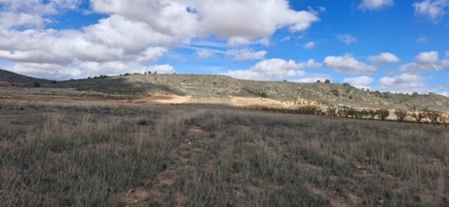 Abanillas Costa Occidental tomt foto 6327713