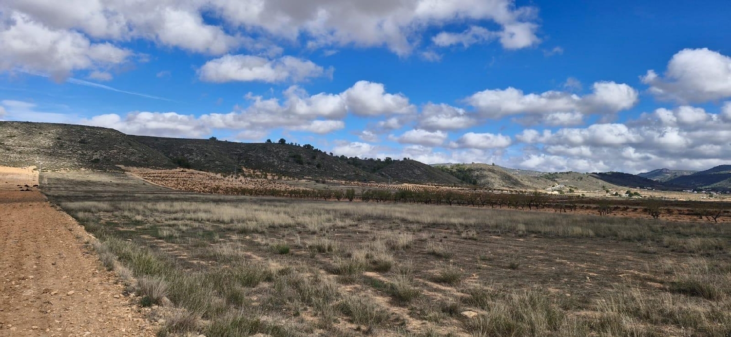  till salu tomt Abanillas Costa Occidental 5