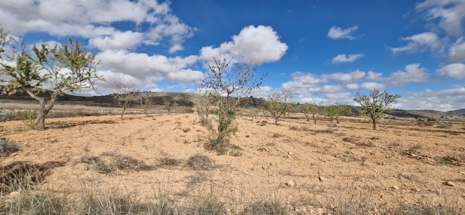  till salu tomt Abanillas Costa Occidental 3