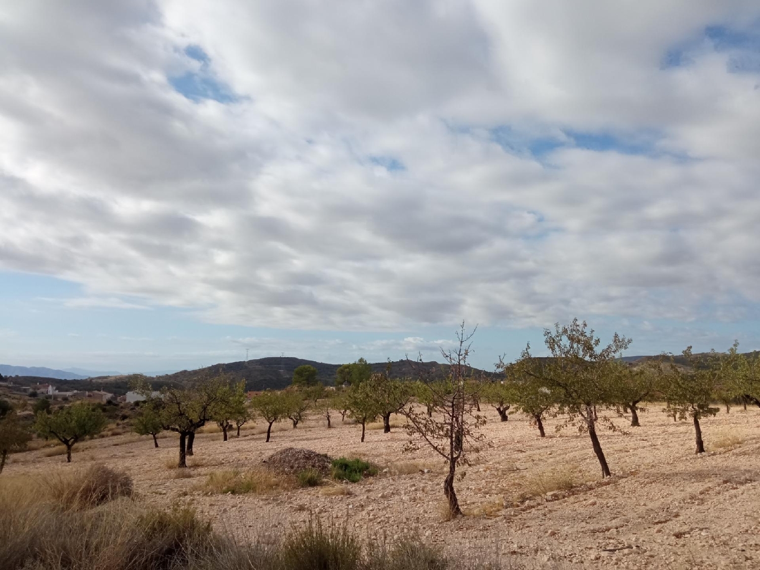  till salu tomt Abanillas Costa Occidental 2