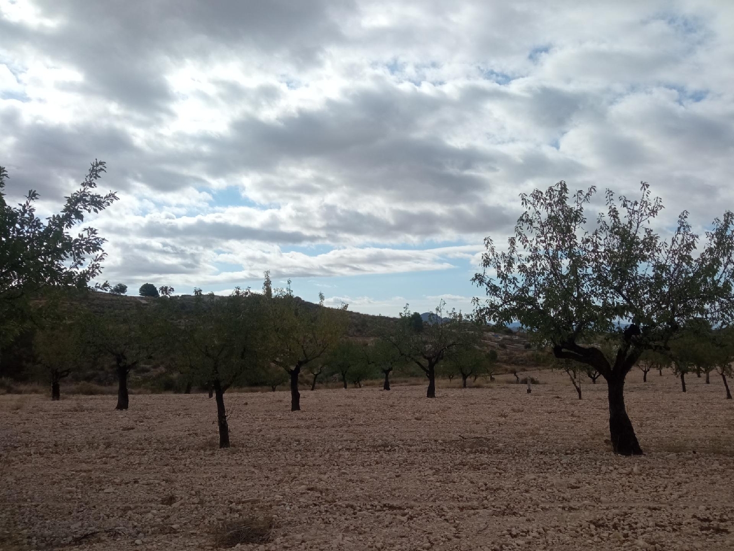  till salu tomt Abanillas Costa Occidental 4