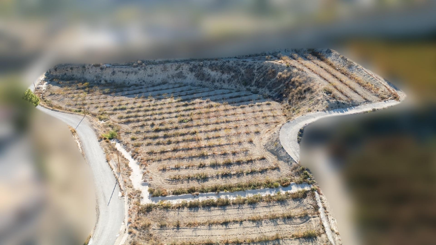  till salu tomt Abarán Vega Alta Del Segura 8