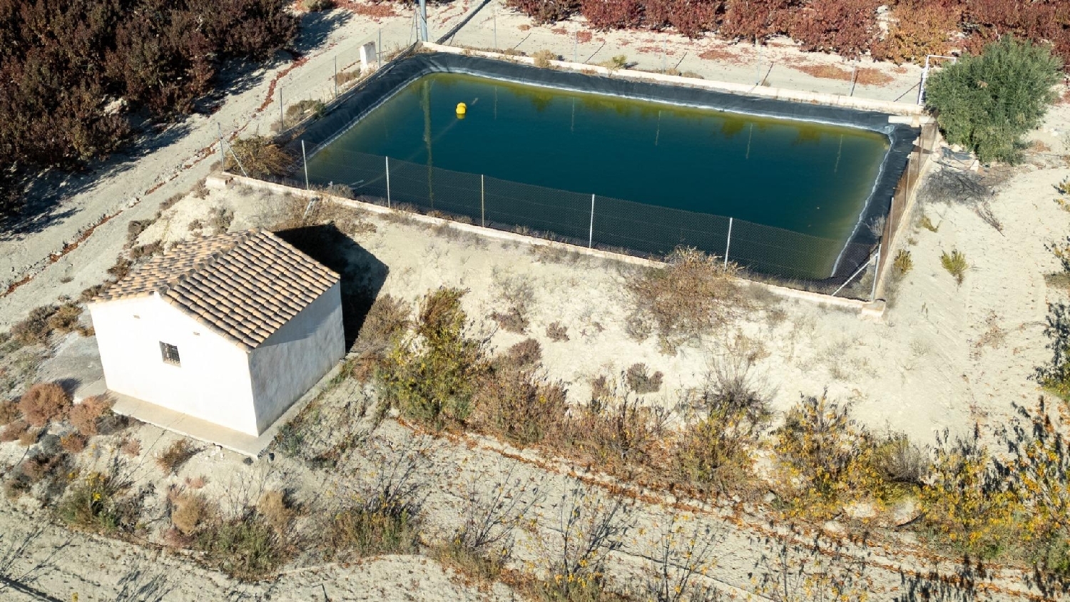  till salu tomt Abarán Vega Alta Del Segura 3