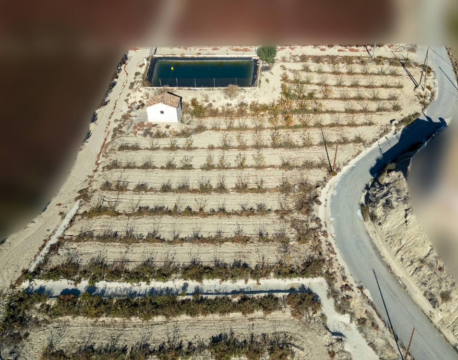  till salu tomt Abarán Vega Alta Del Segura 7