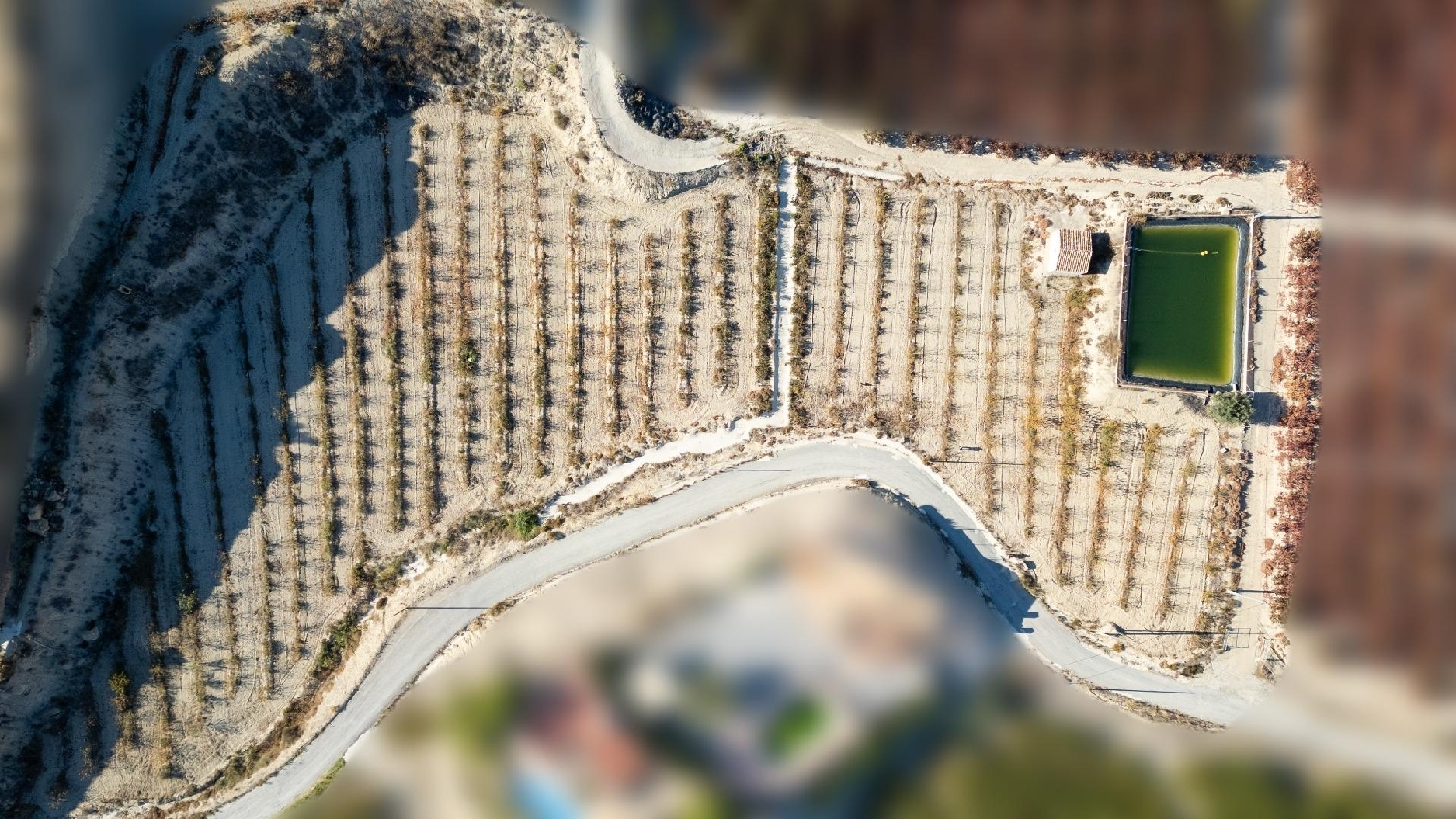  till salu tomt Abarán Vega Alta Del Segura 5