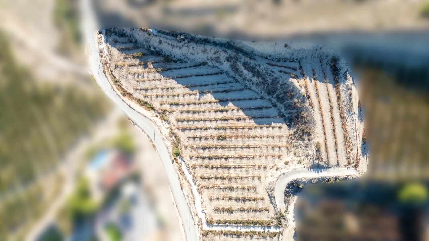  till salu tomt Abarán Vega Alta Del Segura 6