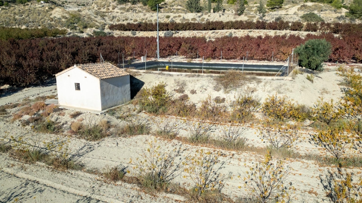  till salu tomt Abarán Vega Alta Del Segura 4