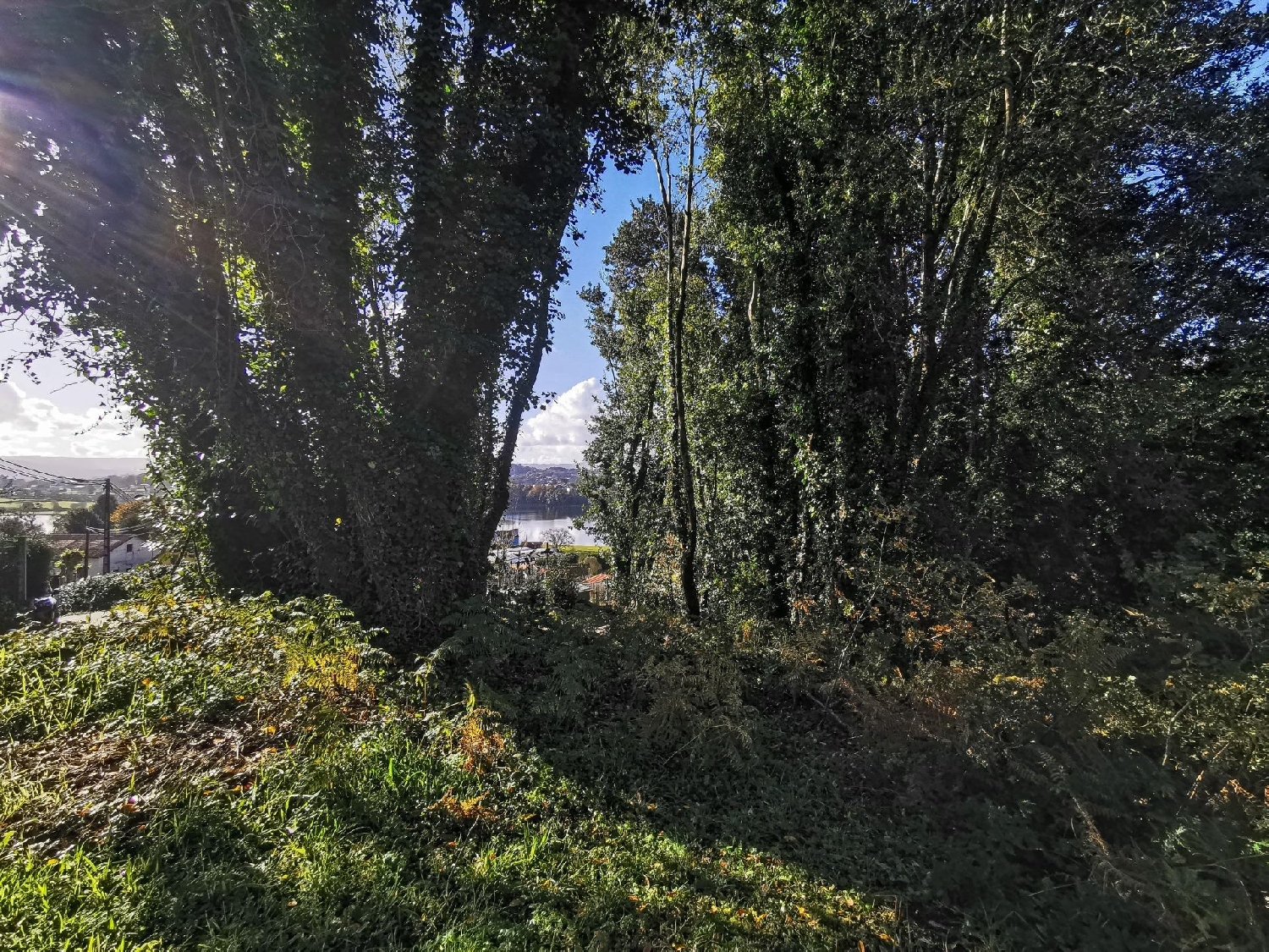  for sale plot Abegondo Coruña 7