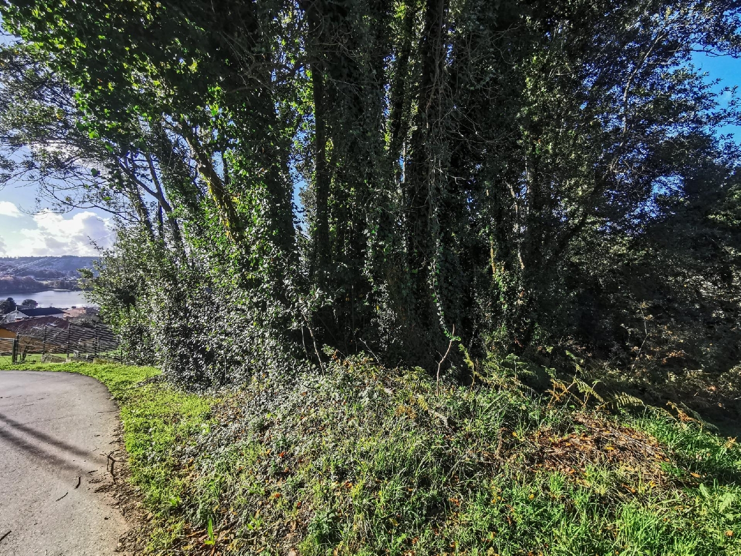  for sale plot Abegondo Coruña 6