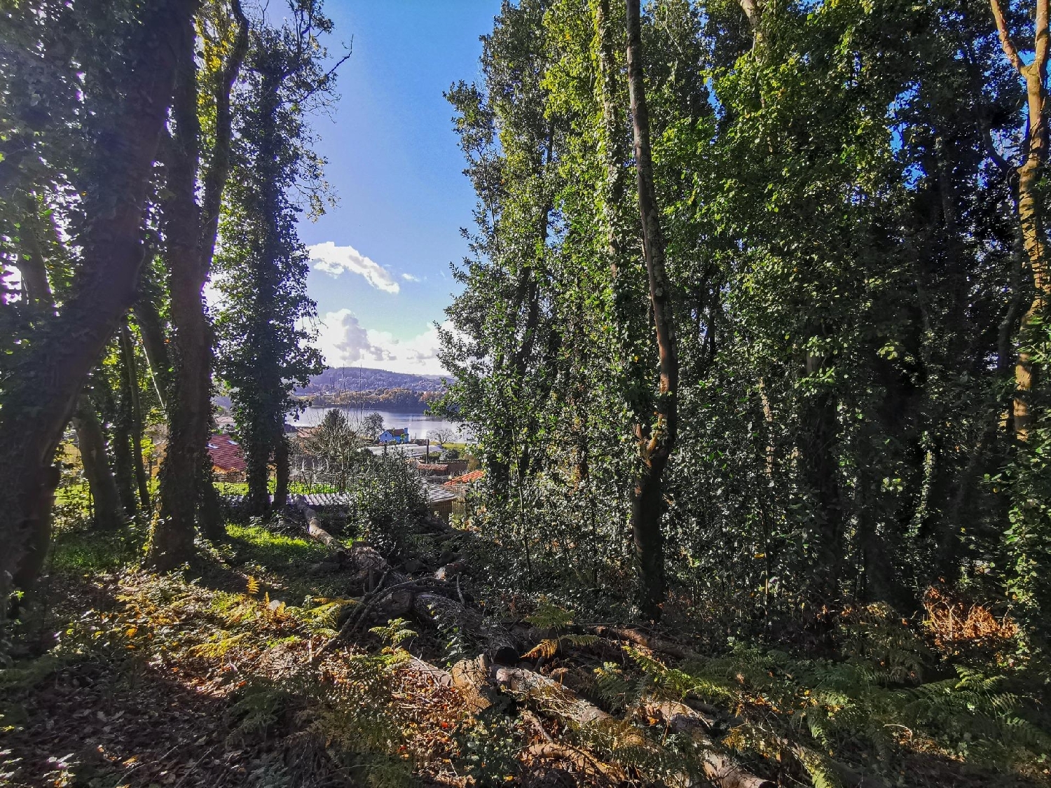  for sale plot Abegondo Coruña 1