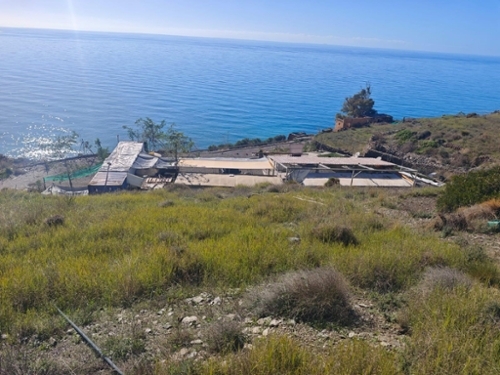 Adrán Bergantiños plot foto 6330002