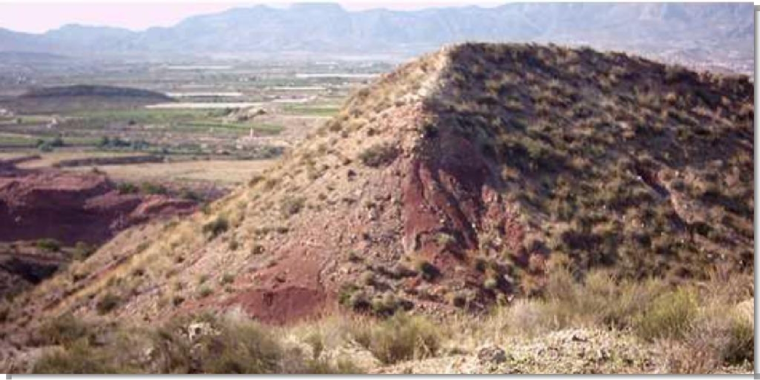  en venta terreno Agost Alacantí 2