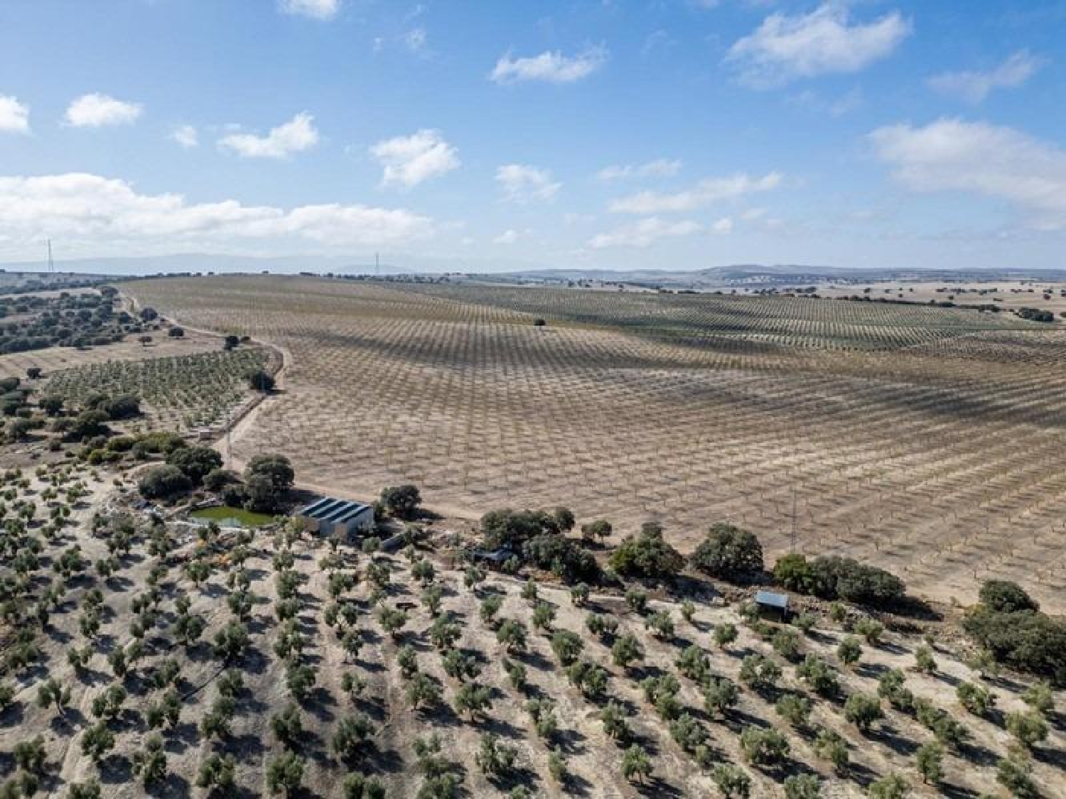 en venta terreno Alamedilla Montes (Los) 5