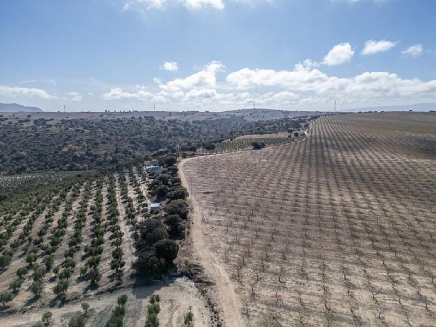 en venta terreno Alamedilla Montes (Los) 7