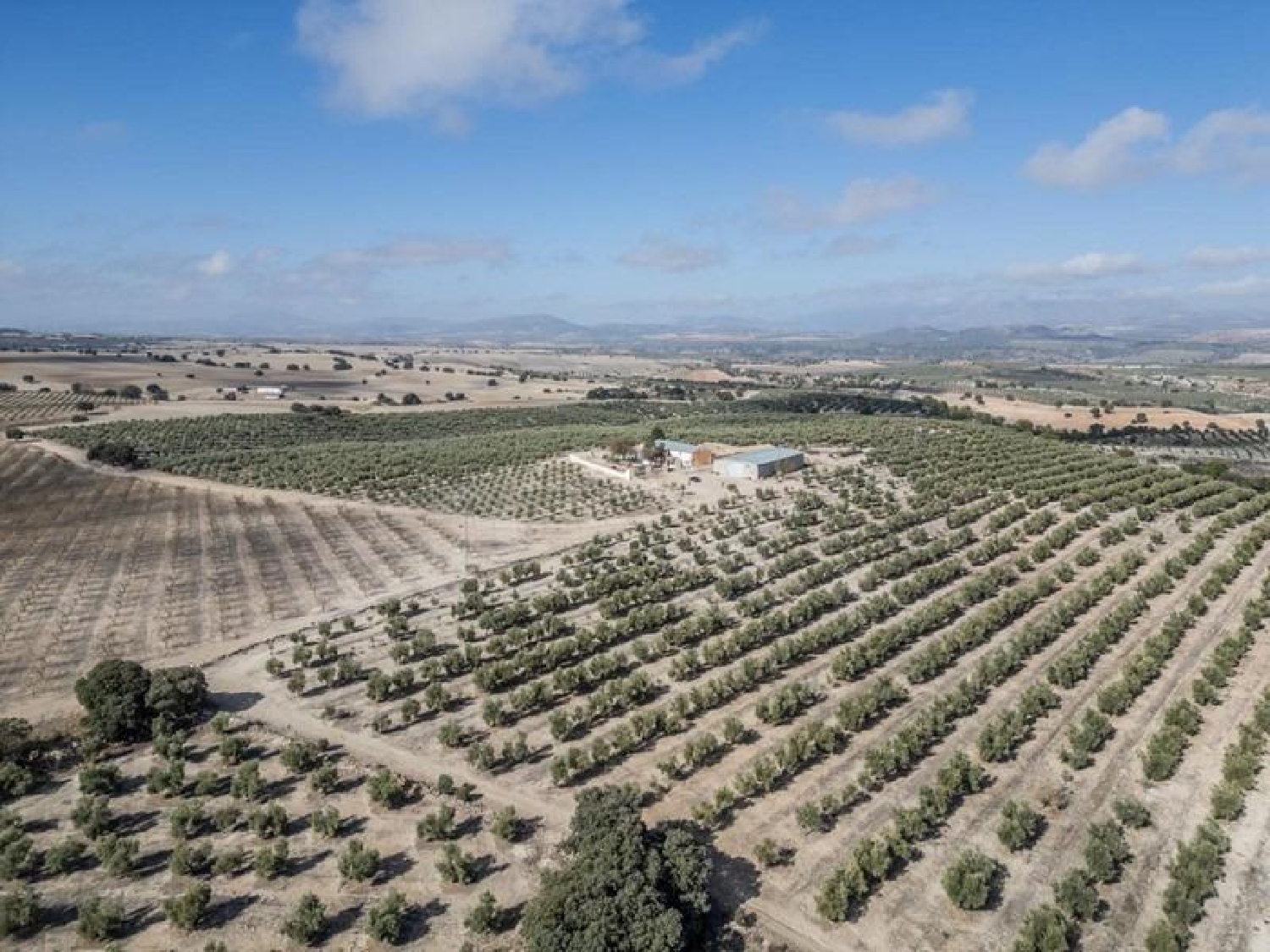 en venta terreno Alamedilla Montes (Los) 4