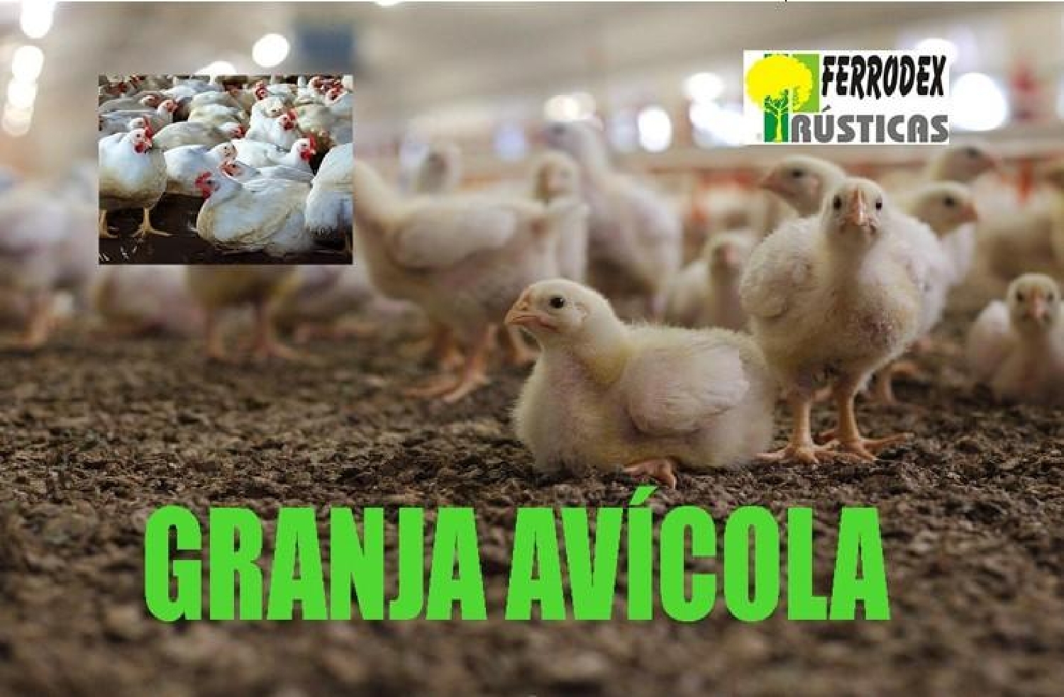 for sale plot Albacete Centro 02002 Llanos De Albacete 1