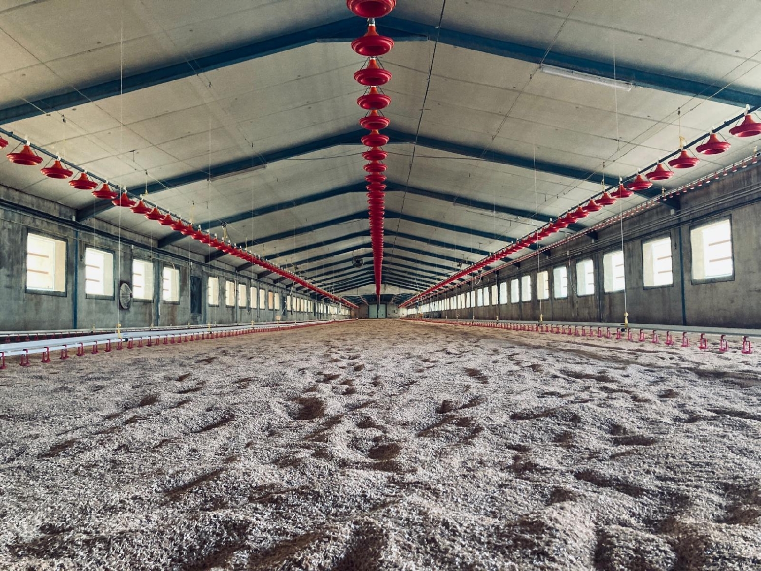 for sale plot Albacete Centro 02002 Llanos De Albacete 2