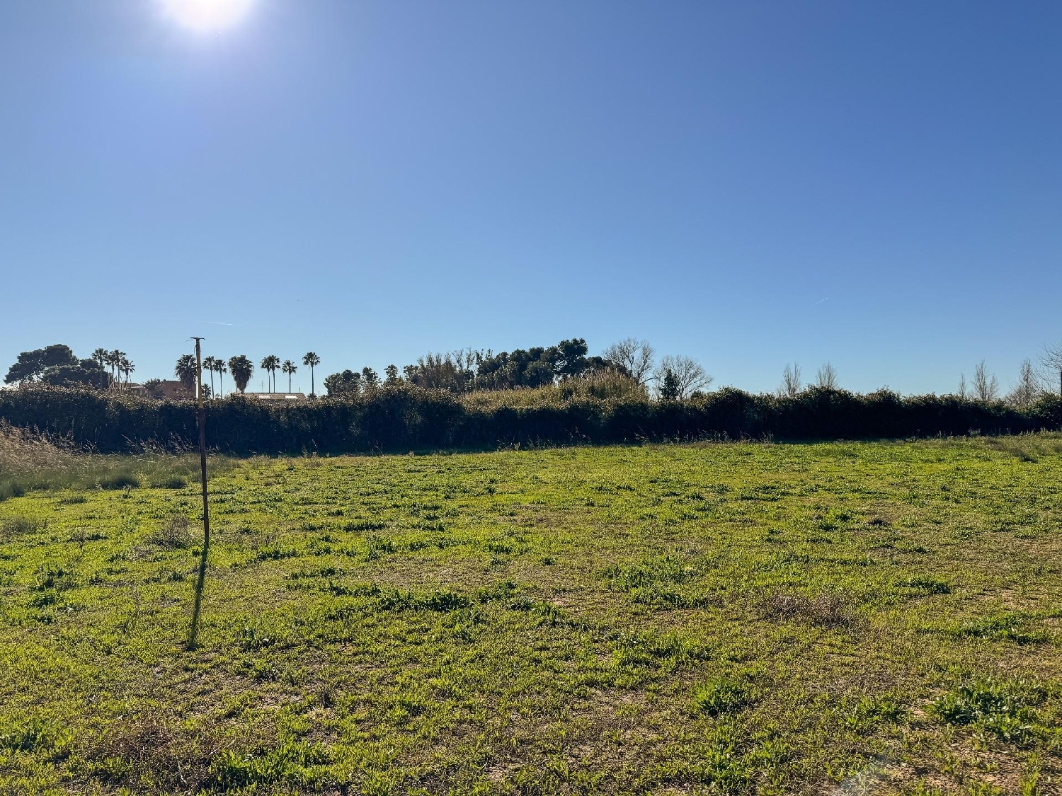  for sale plot Albalat De La Ribera Ribera Baixa 8