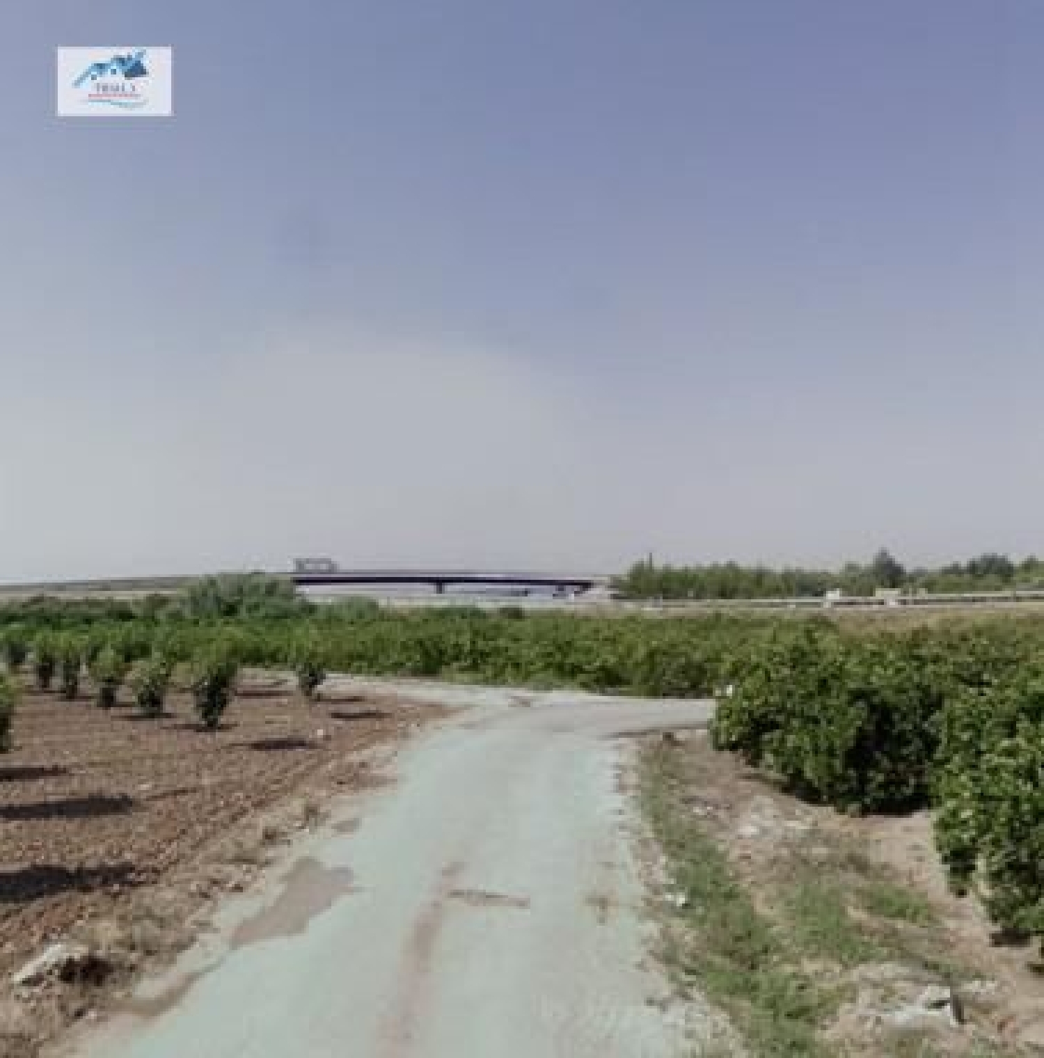  en venta terreno Alberic Ribera Alta 2