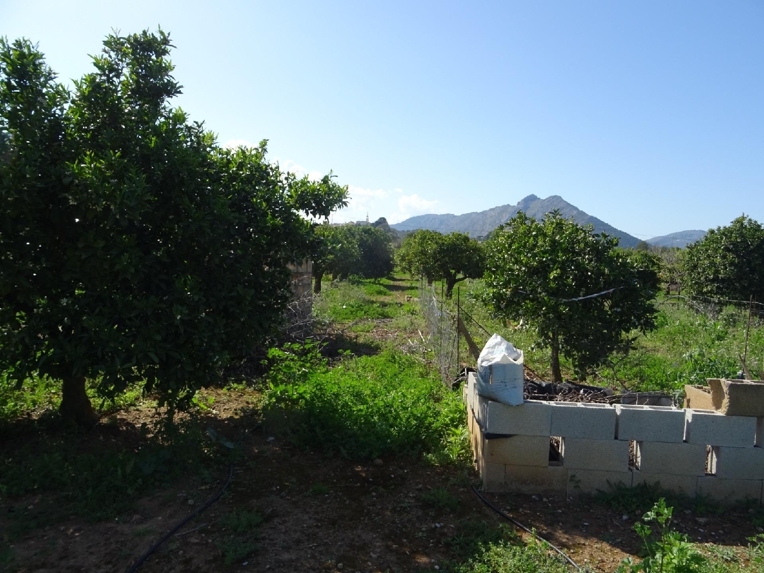 kaufen Grundstück Alcalalí Marina Alta 6