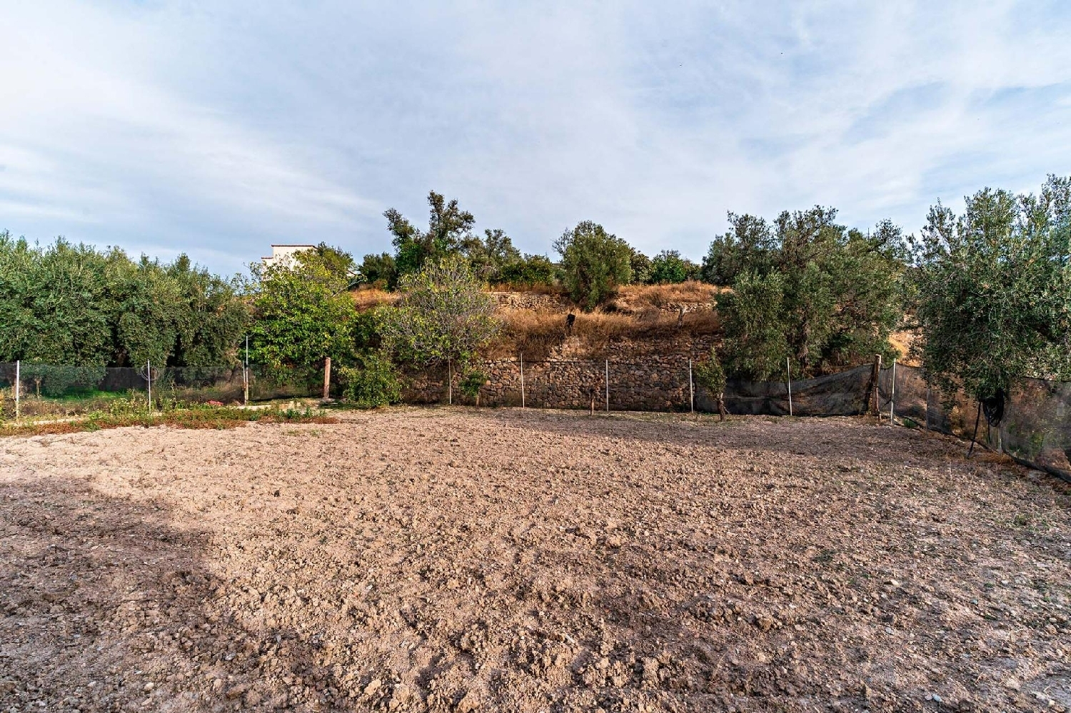 till salu tomt Alcolea Alpujarra Almeriense 2