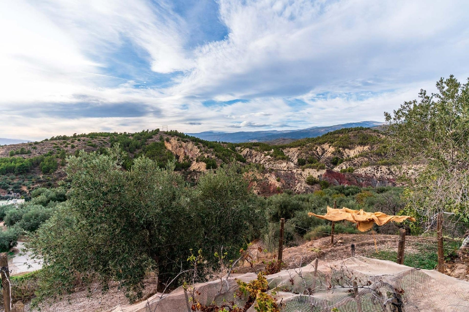 till salu tomt Alcolea Alpujarra Almeriense 6