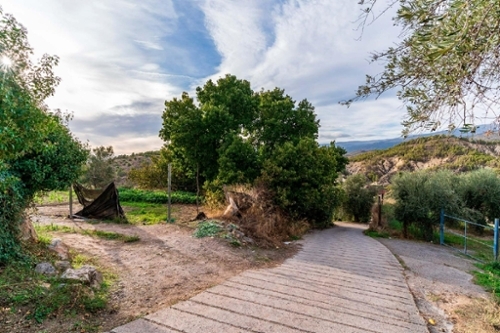 Alcolea Alpujarra Almeriense tomt foto 6334076