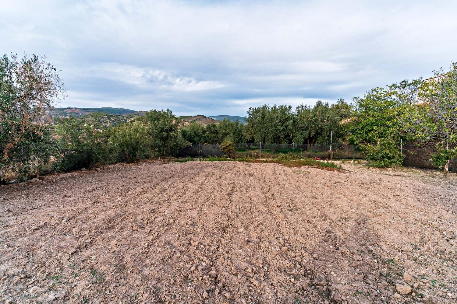 till salu tomt Alcolea Alpujarra Almeriense 5