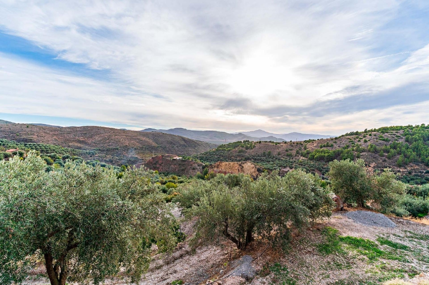 till salu tomt Alcolea Alpujarra Almeriense 3