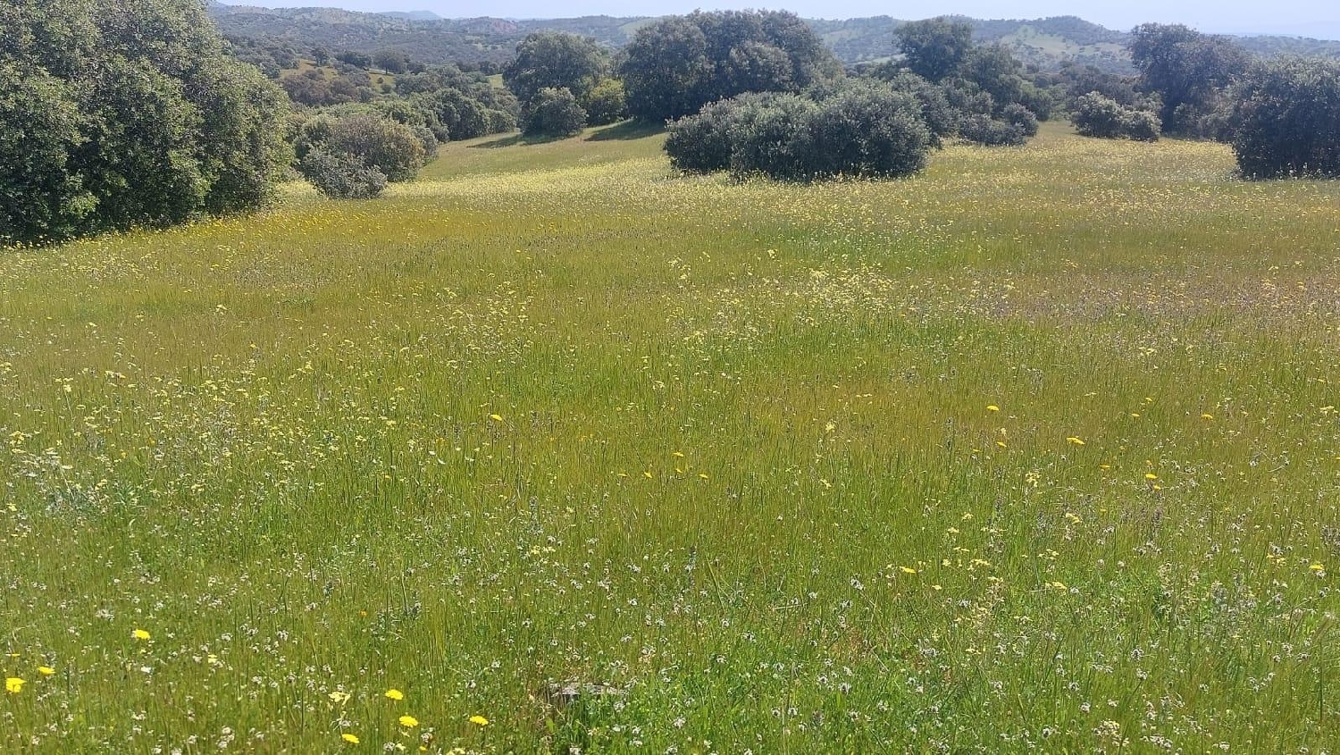 kaufen Grundstück Aldeaquemada Sierra Morena 6